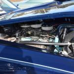 DSC_0167_00096 (November 05, 2022)