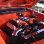 DSC_0170_00099 (November 05, 2022)