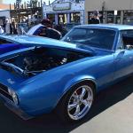 DSC_0172_00101 (November 05, 2022)