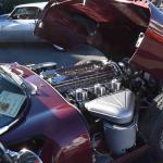 DSC_0192_00120 (November 05, 2022)