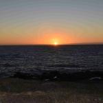 DSC_0206_00127 (November 05, 2022)