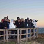 DSC_0214_00130 (November 05, 2022)