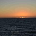 DSC_0215_00131 (November 05, 2022)