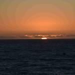 DSC_0217_00132 (November 05, 2022)