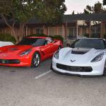 DSC_0222_00135 (November 05, 2022)