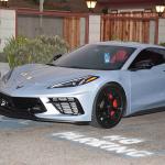 DSC_0224_00137 (November 05, 2022)