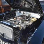 DSC_0102_00062 (October 08, 2022)