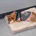 DSC_0136_00098 (April 03, 2022)