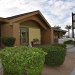 DSC_0029_00022 (June 02, 2022)