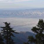 DSC_0051_00036 (June 03, 2022)