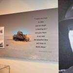 DSC_0090_00068 (June 04, 2022)