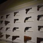 DSC_0109_00087 (June 04, 2022)