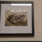 DSC_0043_00043 (June 25, 2022)