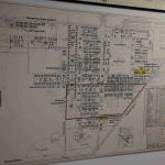 DSC_0071_00071 (June 25, 2022)