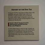 DSC_0077_00077 (June 25, 2022)