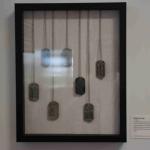 DSC_0078_00078 (June 25, 2022)