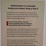 DSC_0086_00085 (June 25, 2022)