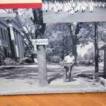 DSC_0103_00102 (June 25, 2022)