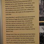 DSC_0126_00124 (June 25, 2022)