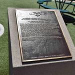 DSC_0133_00131 (June 25, 2022)