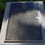 DSC_0138_00136 (June 25, 2022)