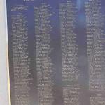 DSC_0140_00138 (June 25, 2022)