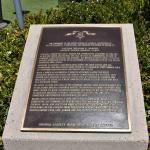 DSC_0141_00139 (June 25, 2022)