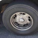 DSC_0233_00145 (April 30, 2022)