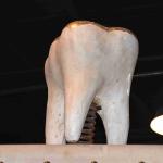 DSC_0072_00068 (July 10, 2022)