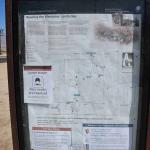 DSC_0088_00084 (July 11, 2022)