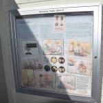 DSC_0096_00092 (July 11, 2022)