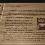 DSC_0109_00105 (July 11, 2022)