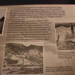 DSC_0111_00107 (July 11, 2022)