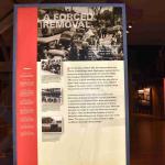 DSC_0121_00117 (July 11, 2022)