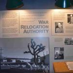 DSC_0129_00125 (July 11, 2022)