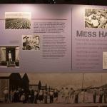 DSC_0130_00126 (July 11, 2022)