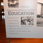 DSC_0146_00142 (July 11, 2022)