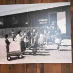 DSC_0148_00144 (July 11, 2022)