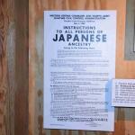 DSC_0150_00146 (July 11, 2022)