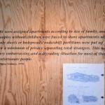 DSC_0151_00147 (July 11, 2022)