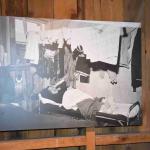 DSC_0153_00149 (July 11, 2022)