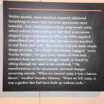 DSC_0154_00150 (July 11, 2022)