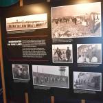 DSC_0156_00152 (July 11, 2022)