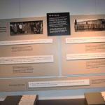 DSC_0158_00154 (July 11, 2022)