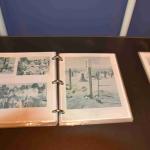 DSC_0167_00163 (July 11, 2022)