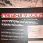 DSC_0169_00165 (July 11, 2022)