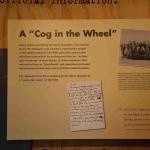 DSC_0190_00186 (July 11, 2022)