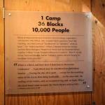 DSC_0196_00192 (July 11, 2022)