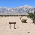 DSC_0197_00193 (July 11, 2022)