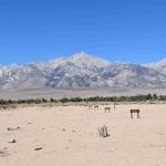 OTRA-Manzanar (April 05, 2023)